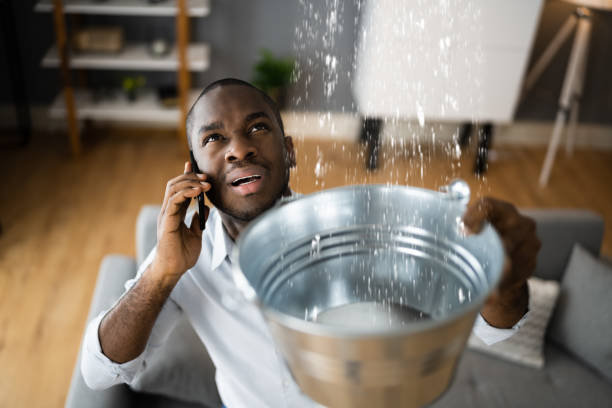 Reliable Idaho Falls, ID Water damage restoration Solutions
