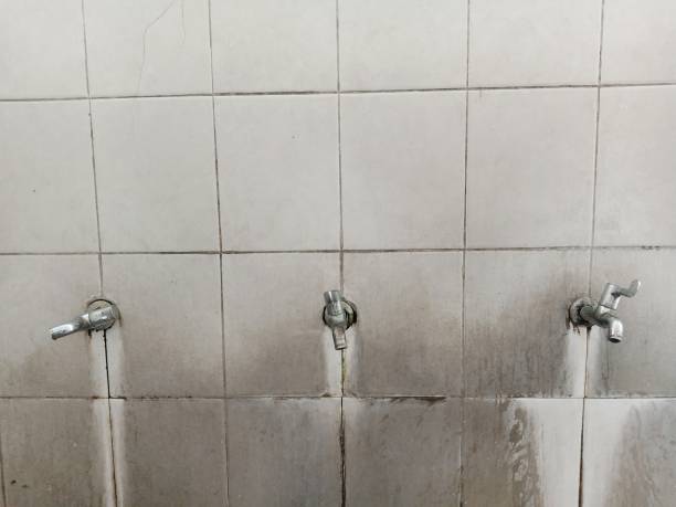 Best Flooded house restoration  in Aho Falls, ID